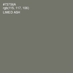 #73756A - Limed Ash Color Image